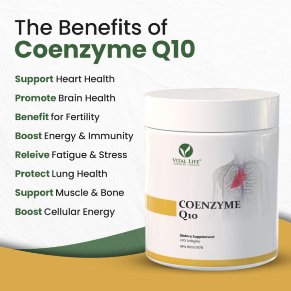 Coenzyme Q10 Softgels - Image 2