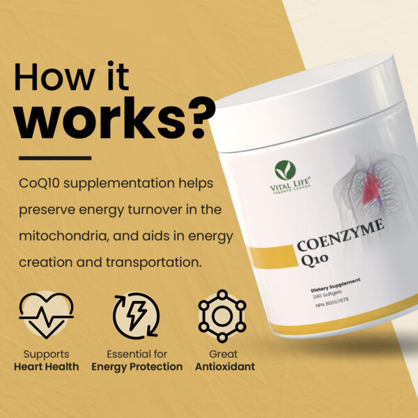 Coenzyme Q10 Softgels - Image 3