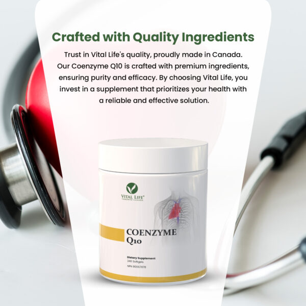 Coenzyme Q10 Softgels - Image 6