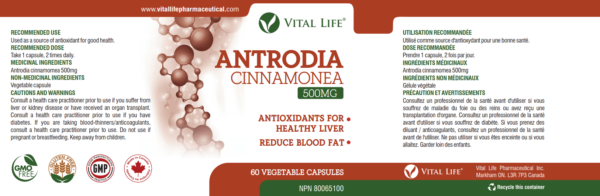 Antrodia Cinnamonea Capsules - Image 8