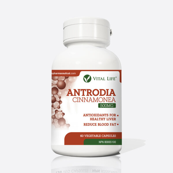Antrodia Cinnamonea Capsules