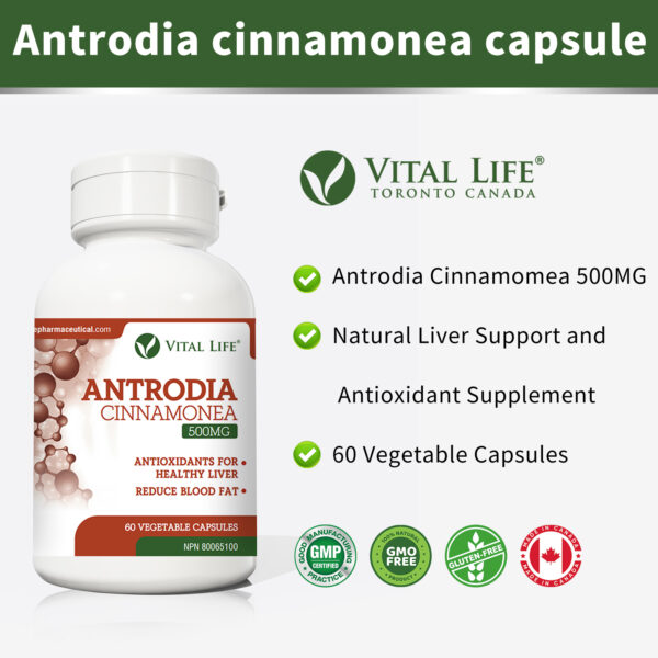 Antrodia Cinnamonea Capsules - Image 2