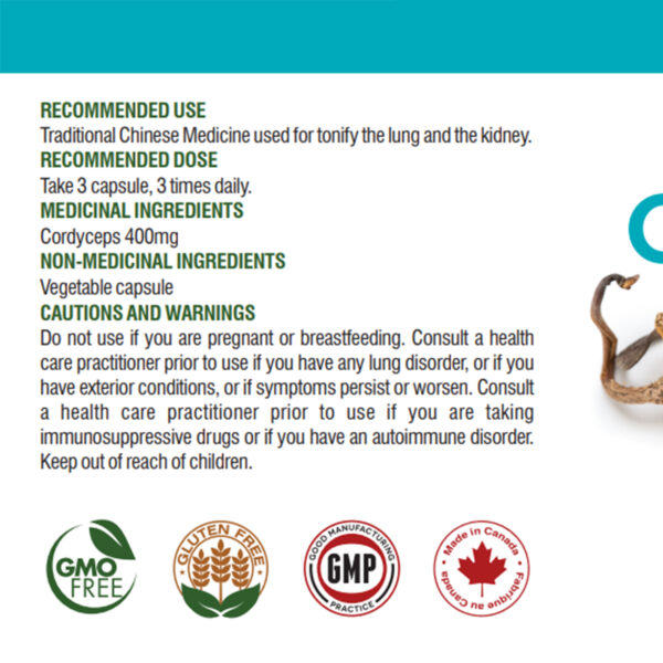 Cordyceps Capsules - Image 3