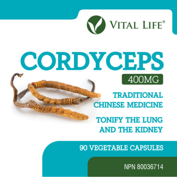 Cordyceps Capsules - Image 4