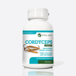 Cordyceps Capsules