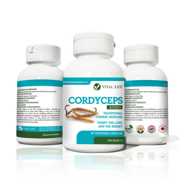 Cordyceps Capsules - Image 6