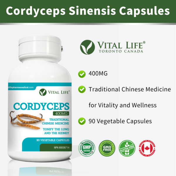 Cordyceps Capsules - Image 7