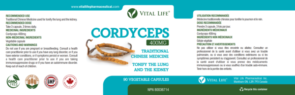Cordyceps Capsules - Image 2