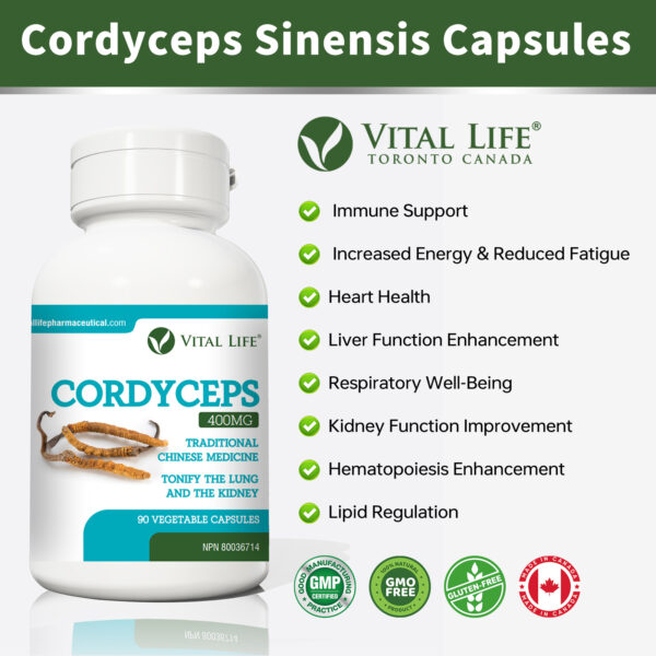 Cordyceps Capsules - Image 8