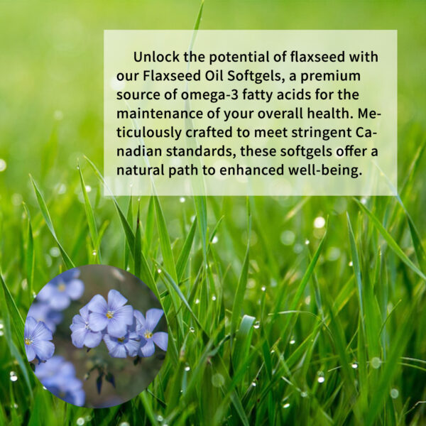 Flaxseed Oil Softgel - Image 8