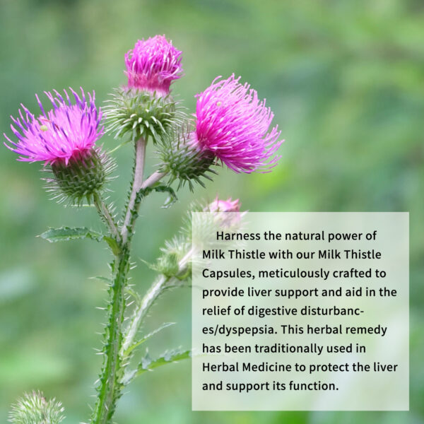 Milk Thistle Softgels - Image 8